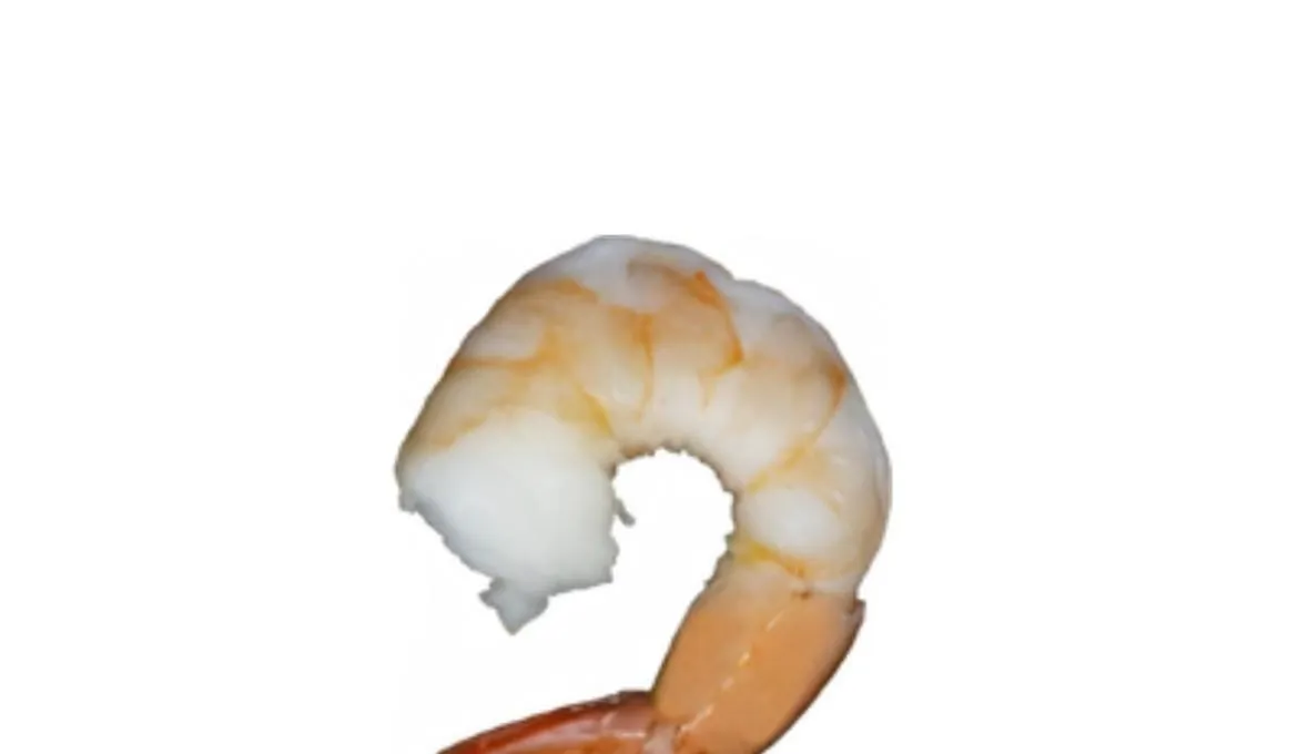 Cooked PD Tail-On