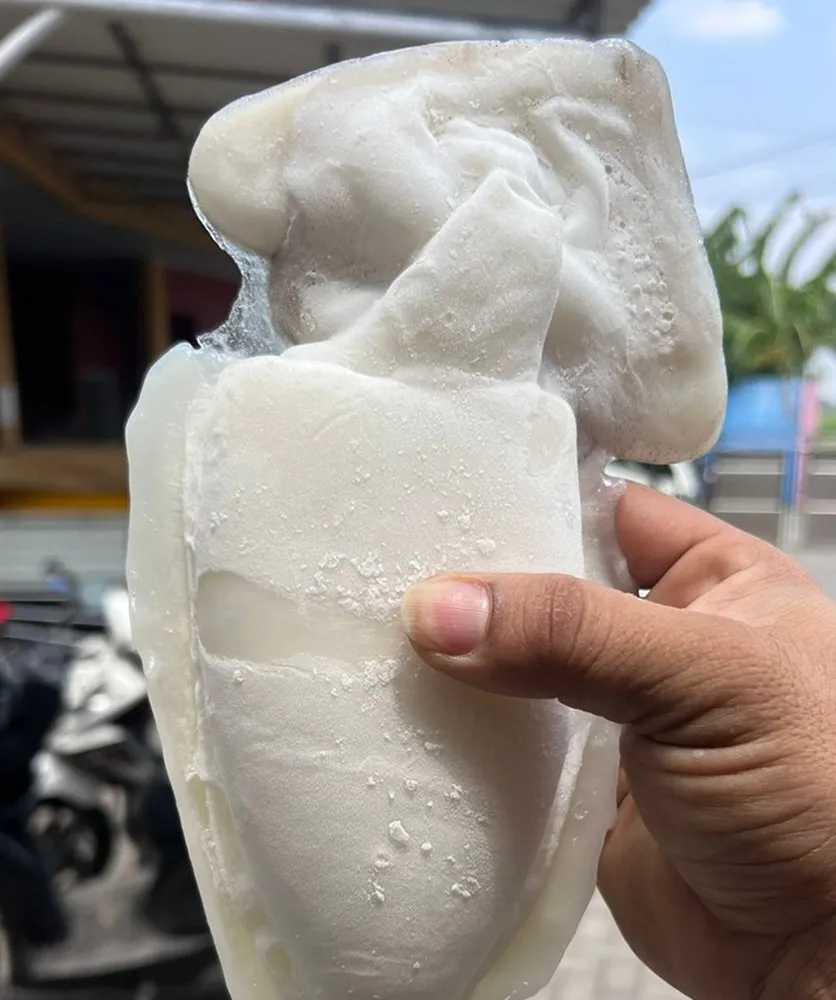 Pemeriksaan produk beku