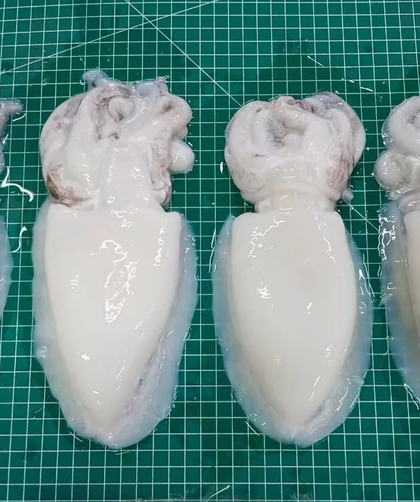Sotong utuh yang sudah dibersihkan